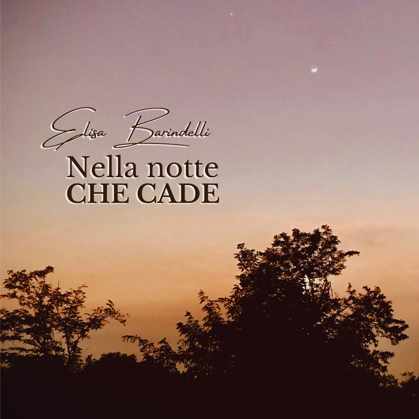 Nella notte che cade