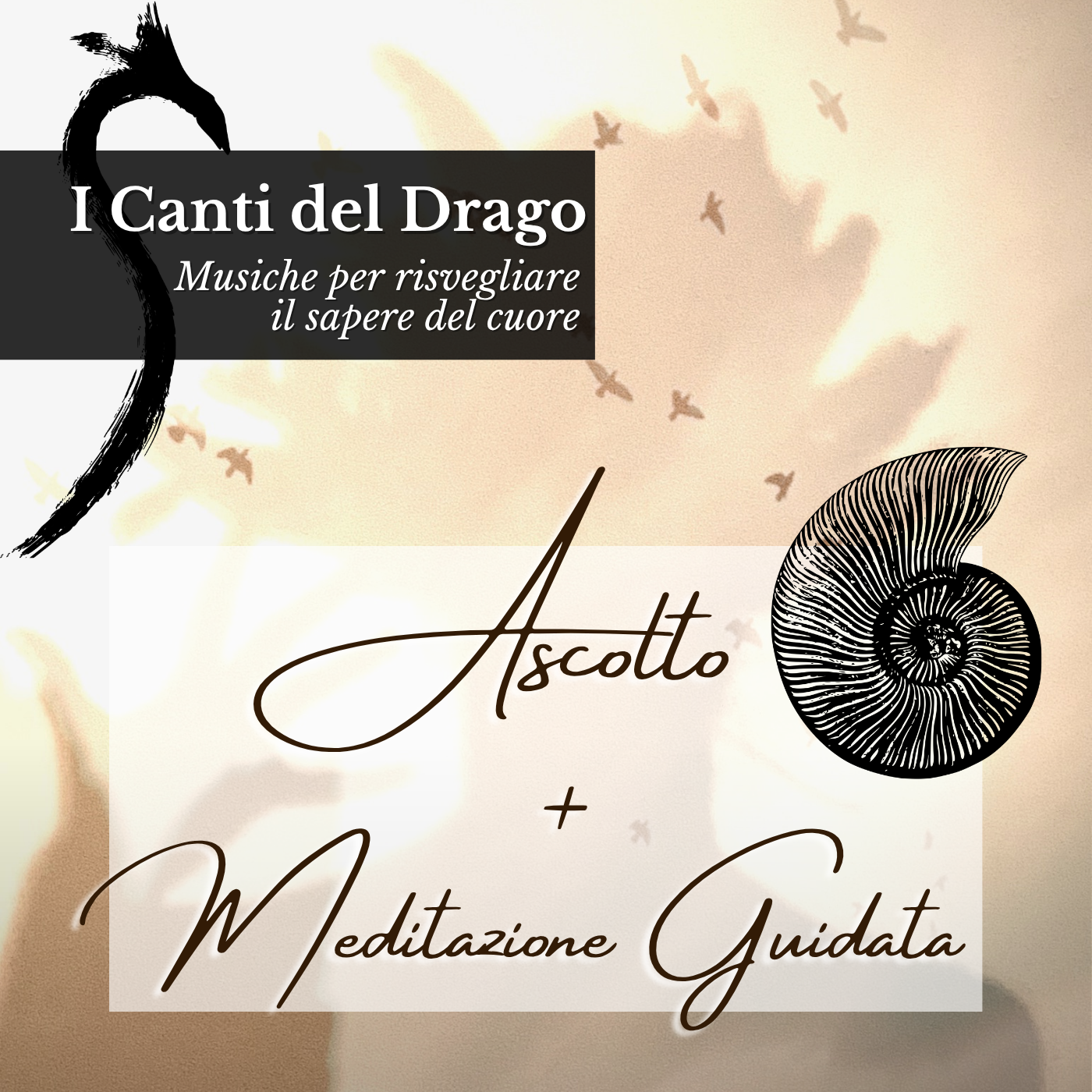 Le traiettorie dell’amore